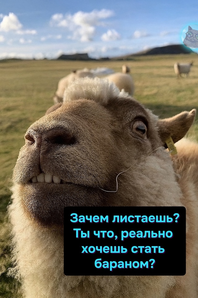 Вот ты и попался!