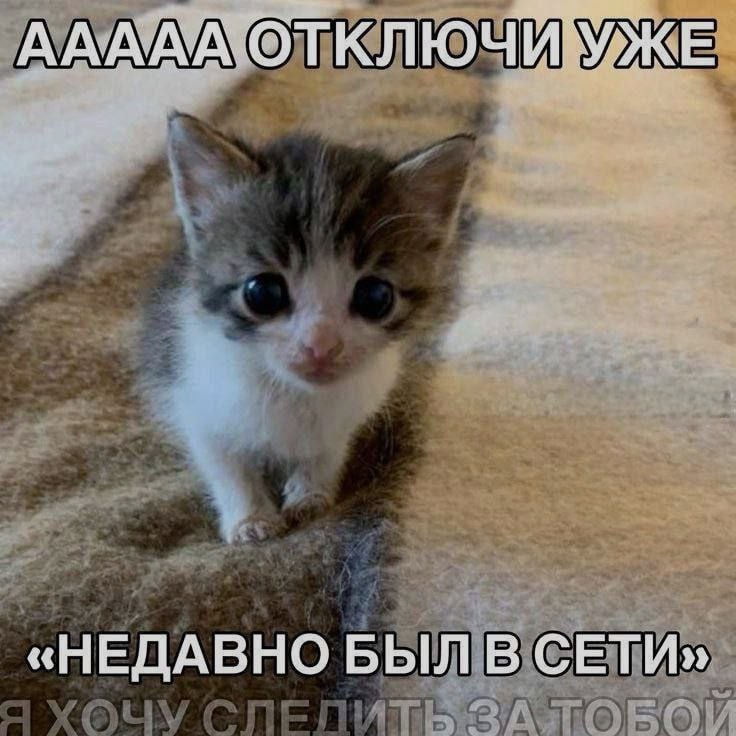 Ночная подборочка
Спать, режим