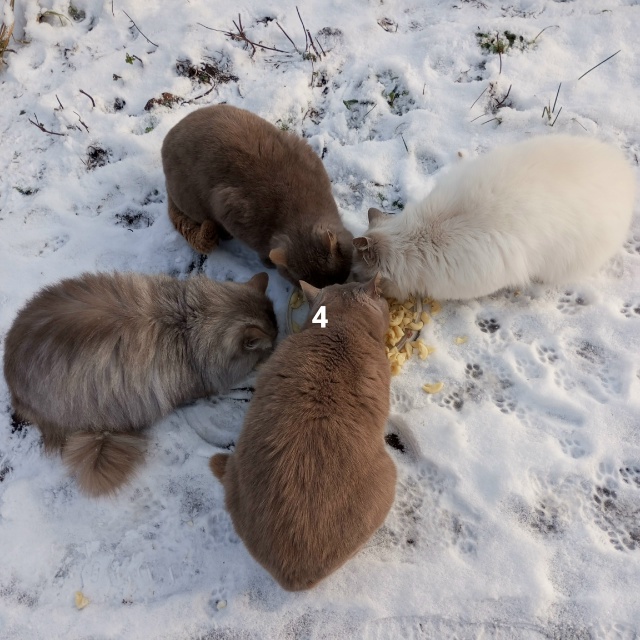 #ПотерялиНашлиПомогите
1 потеряли банковскую карту в ...