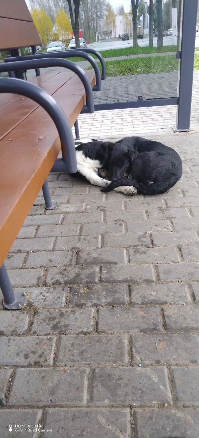 Доброе утро. Але власти, вы че совсем ошалели? То есть э?...