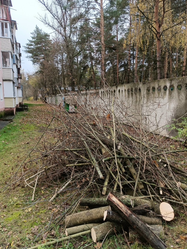 Пост крик души! Не ужели настолько необходим спил живы?...