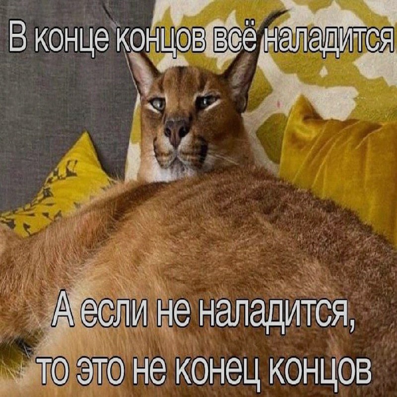 Ночная подборочка
Спать, режим