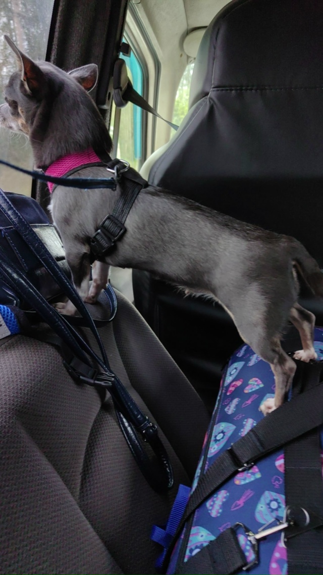 Очень прошу администратора , в очередной раз 🙏 , опубл?...