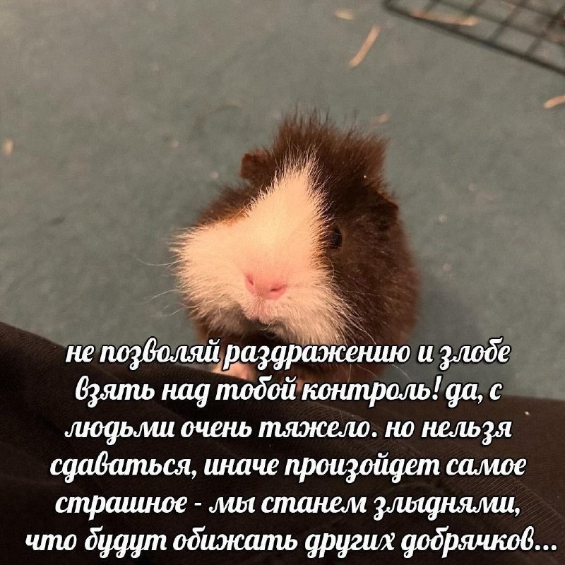 Утренняя подборочка