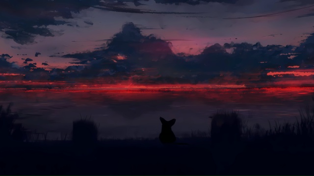 новая подборка обоев переходим в тг в высоком качестве...