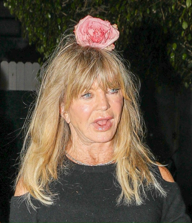 79-летняя Голди Хоун ужаснула публику своим внешним вид...