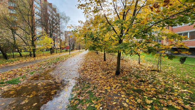 Осень в Протвино