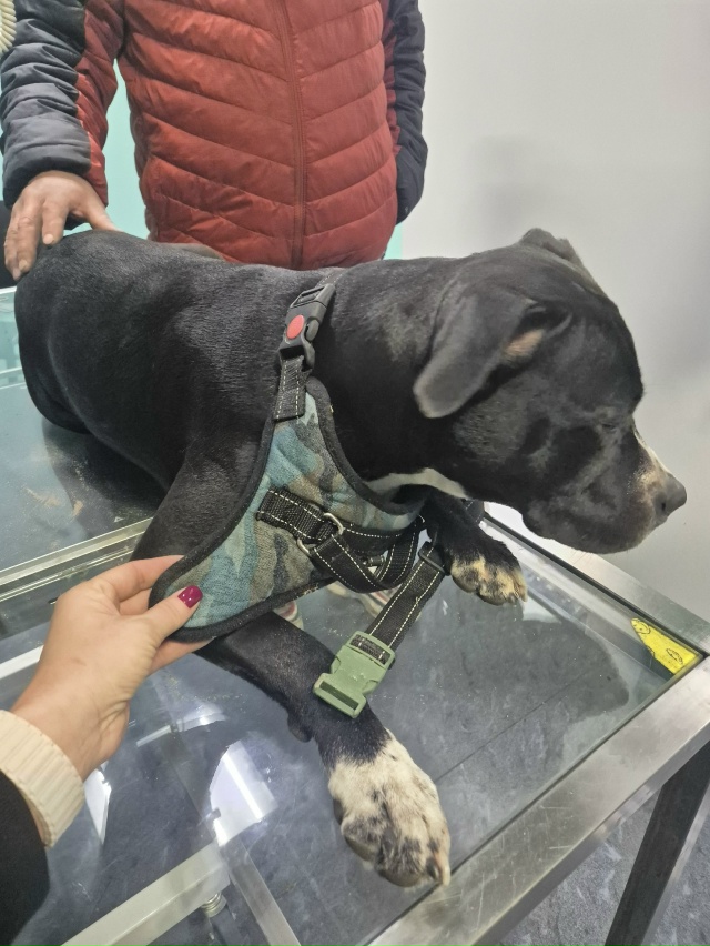 22.11.2025 на ул.Болдина около 20.00 в районе магазина 