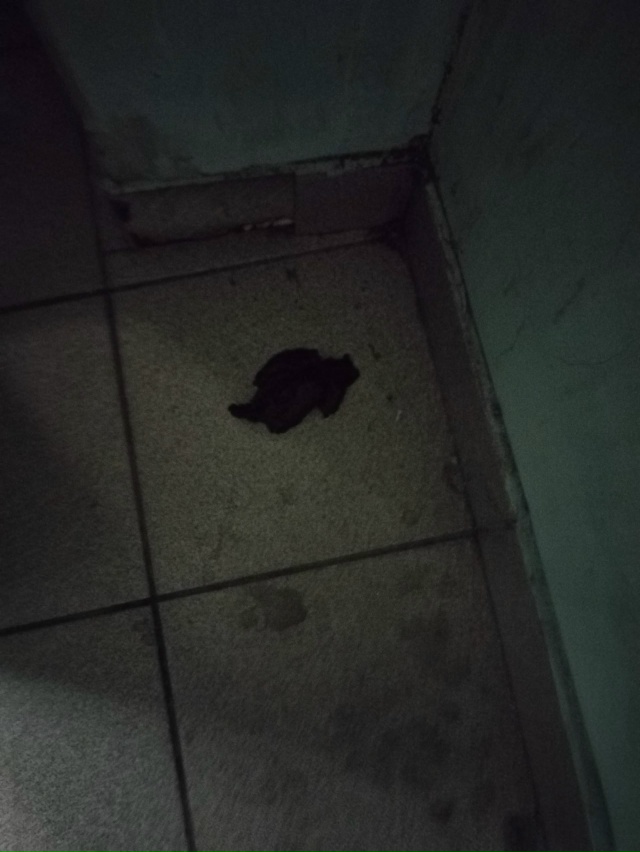 Почему не стоит камера и техника безопасности на лестн...