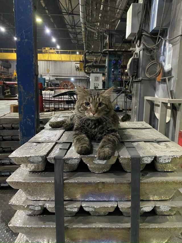 Федор Карасеев присел остудить рабочий пар, как-никак, ...