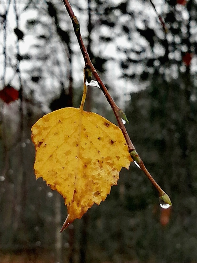Доброй ночи, Никольск❤