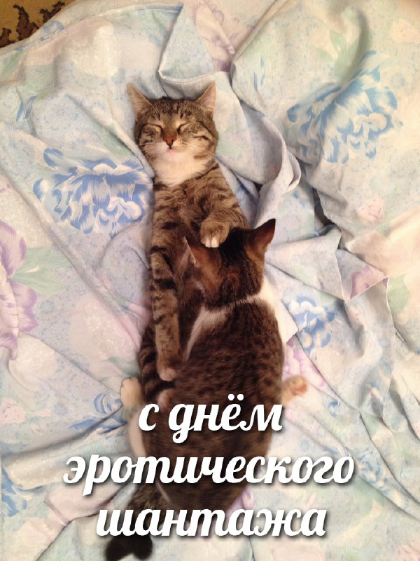 Сегодня отмечается Международный день сексуального шантажа
Сегодня разрешено ставить друзьям эротич