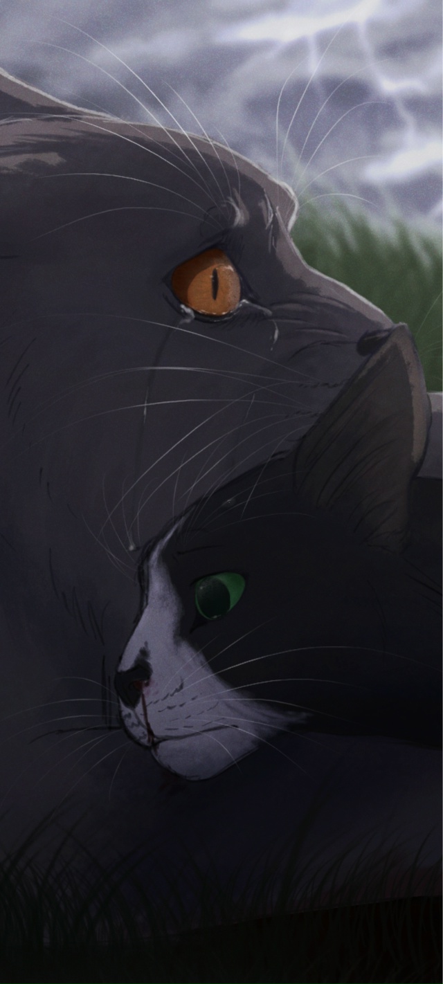 «Но он даже не дожил до своих двадцати»
Кремнезуб и Ба?...