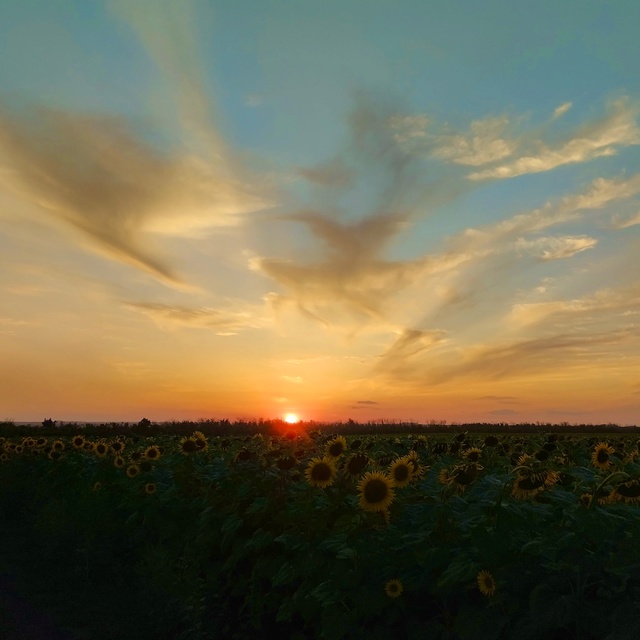 Фото от подписчика 🌻