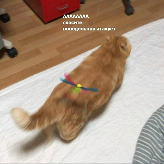 Что-то страшное...