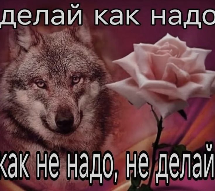 Ночная подборочка
Выходные, не спим