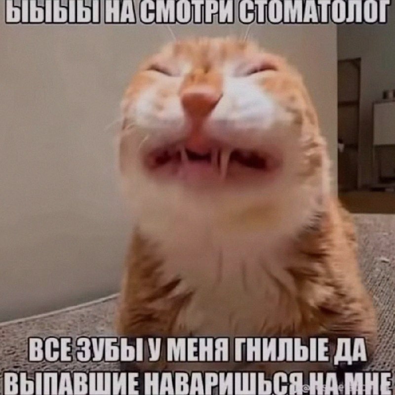 Ночная подборочка
Спать, режим