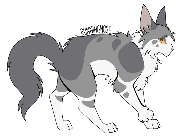 Мокроус
© skyperch
#KV_ZZ_ART