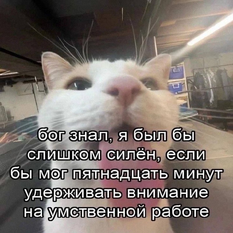 Утренняя подборочка