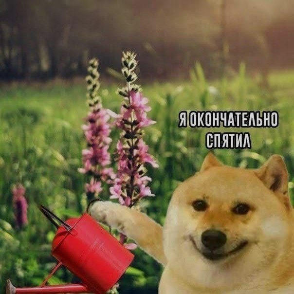 Ночная подборочка
Спать, режим