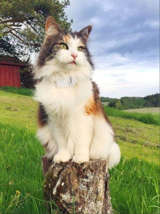 Ловите момент и наслаждайтесь им!!!