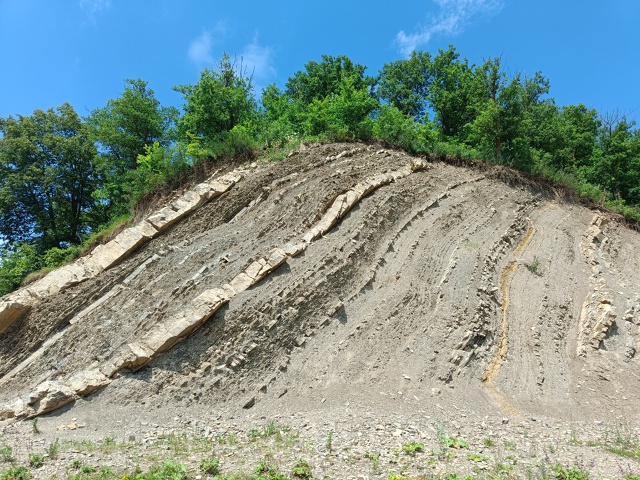 Ягодный поход с подругой, который стал путешествием во...