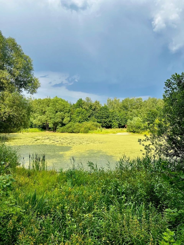 Дачная эстетика Балашихи
Эти тёплые и уютные кадры с?...