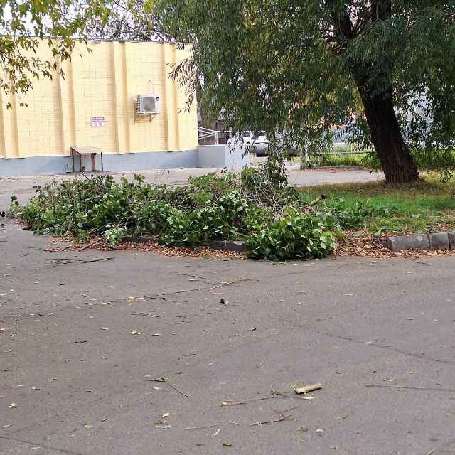 Гагарина, 11, когда-то наш двор утопал в зелени, росли яб?...