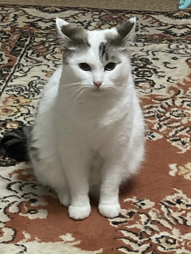 Я голоден только тогда, когда я голоден, а когда я не го?...