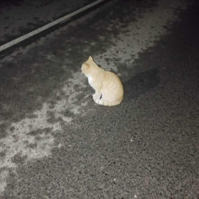 Ежедневно в 21 час по местному времени Ваши вопросы.
1⃣ ...