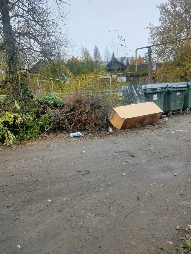Вот такое безобразие творится на площадке сбора мусор?...