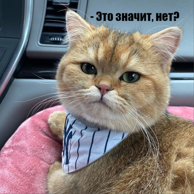 Предупредила)