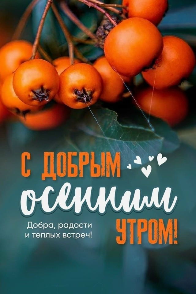 Доброе утро Подслушано!