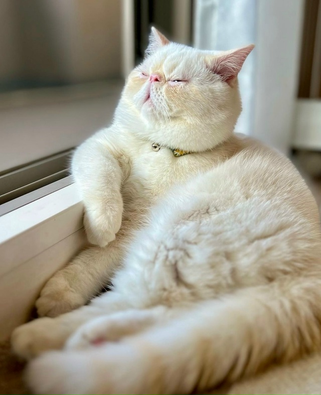 Нашли вам немного покоя, оставьте его при себе на всяки...