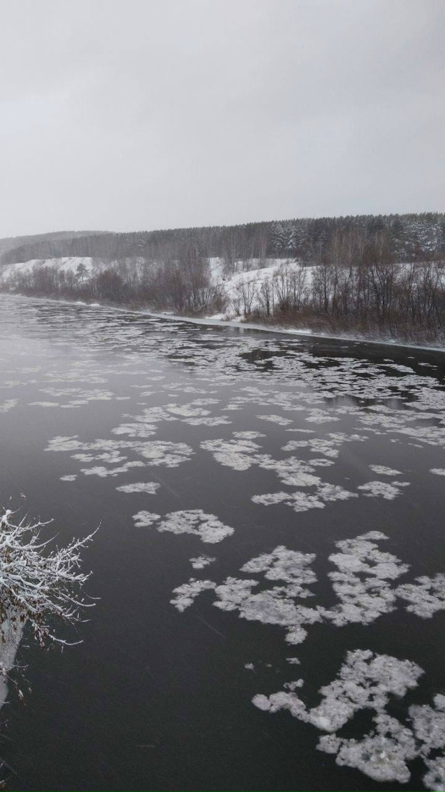 Ηa peкe Иня в Ηoвocибиpcкe зaфикcиpoвaли peдкoe явлeниe - cнeжуpу
Η...