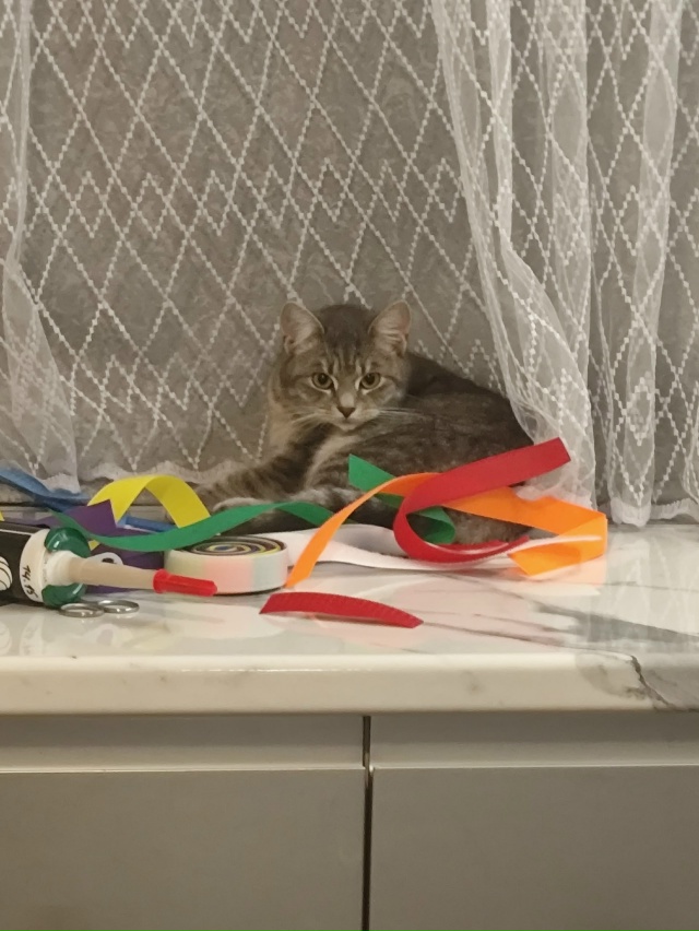 Не #мявстерская
....и ленточки!