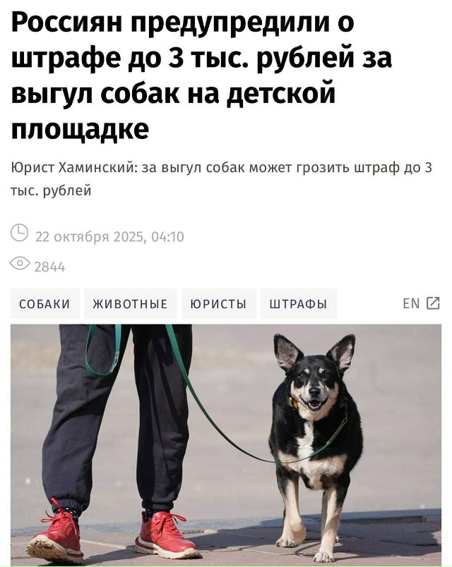 ‼За выгул собак на детской площадке россиянам грозит ?...
