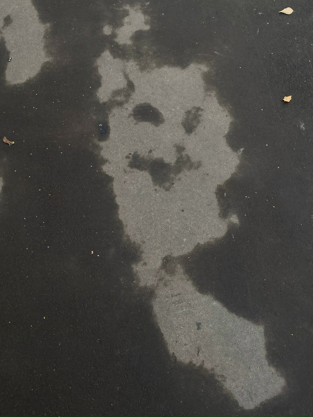 тени ржения...