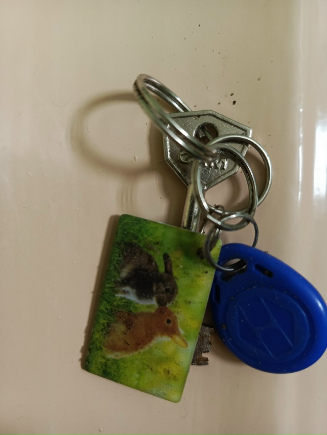 Доброе утро. Найдены ключи около Комарова 3. Обращаться...