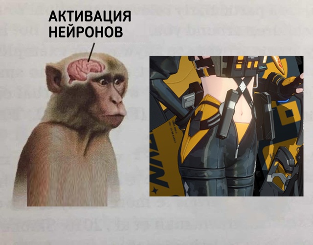 Маркетологи идеально знают свою аудиторию - реклама Zenl...