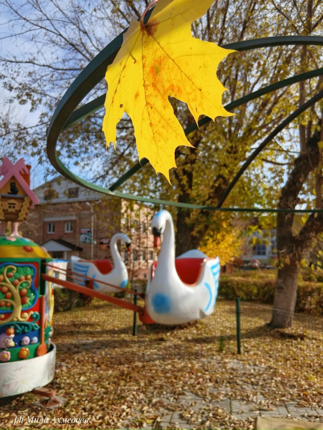 Городской парк.🍁🎡🎠
Октябрь.