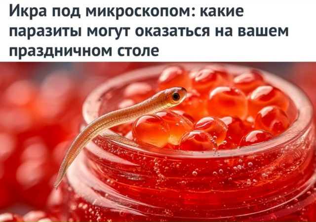 ‼️ Красная икра может содержать опасных паразитов — ?...
