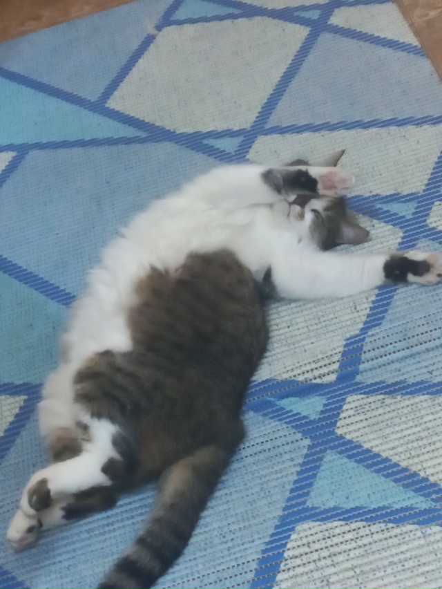 А-ля Айседора Дункан 💃🏻
Очень тонко)