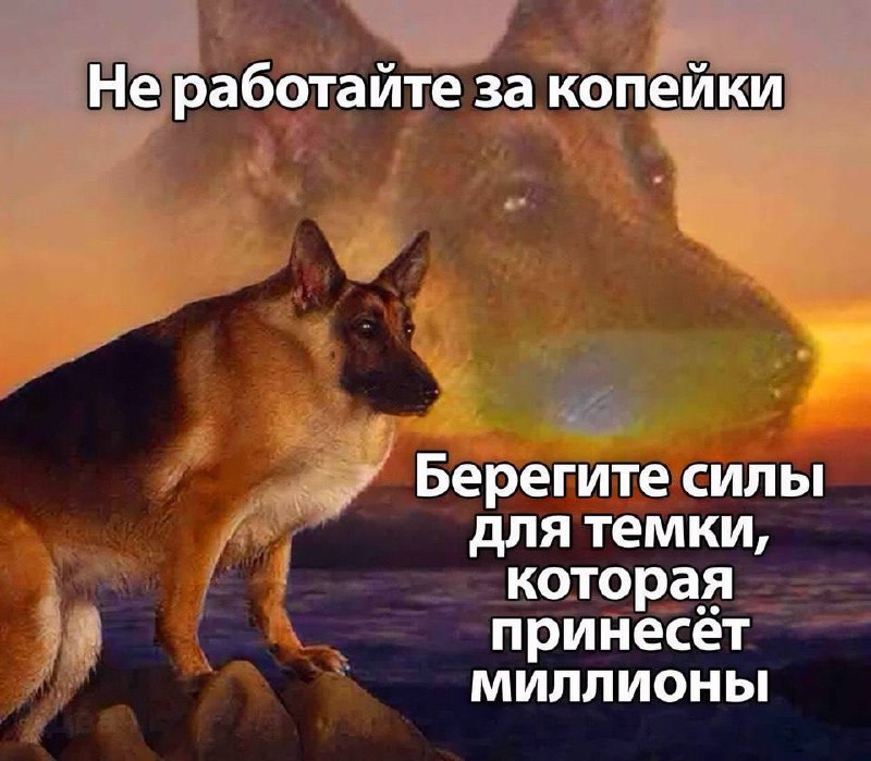 Утренняя подборочка
