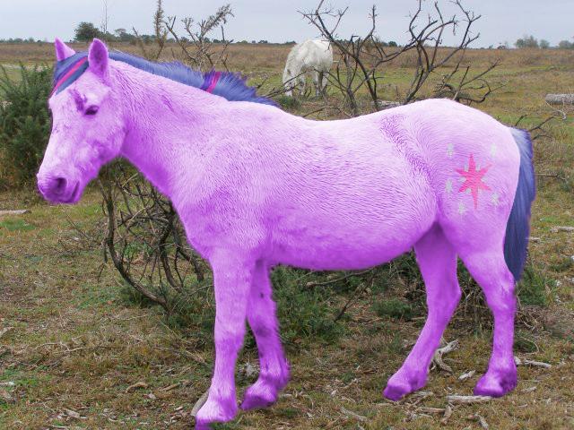 По My Little Pony впервые выпустят фильм с живыми актёрами: Да, за все 43 года существования франшиз
