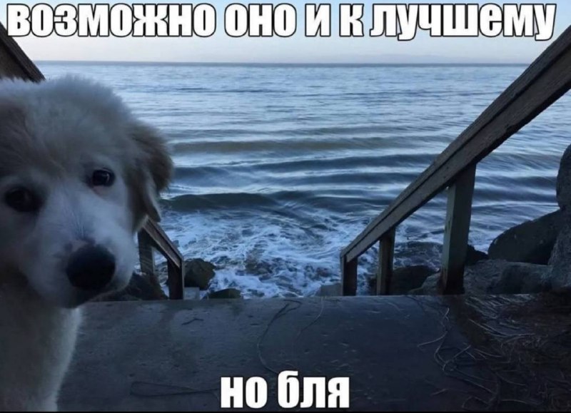Когда сделала какой-то правильный выбор, зная, что от неправильного получила бы кучу эмоций и мощную