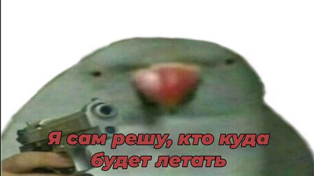 Безумные приколы
Попугая обвинили в задержке запуска ?...