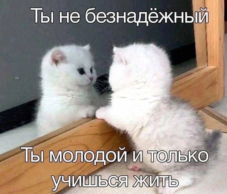 Утренняя подборочка
