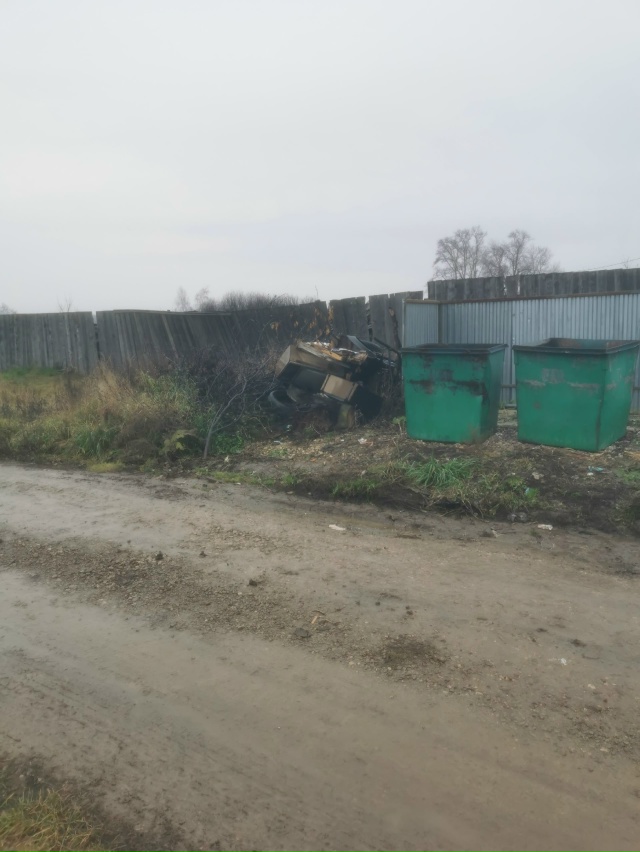В деревне РОМАШКИНО по переулку Луговой мусор лежит уж...
