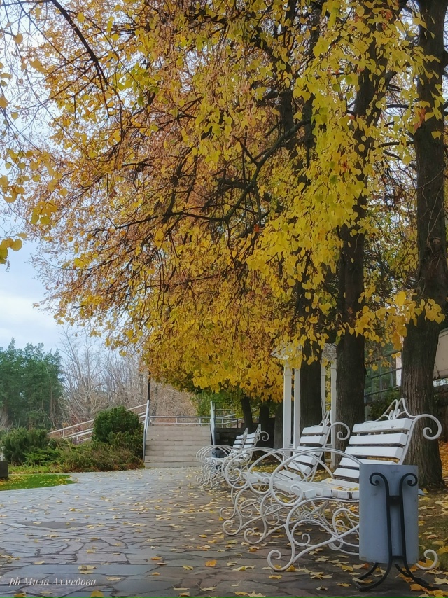 Впереди выходные, погода без дождя.🌤 Прекрасная возмо...